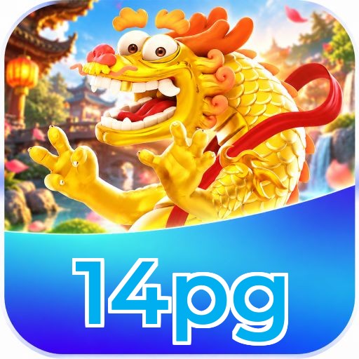 14pg Suporte